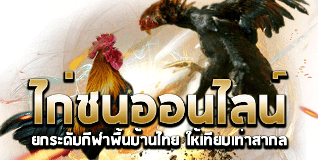 ไก่ชนออนไลน์ยกระดับกีฬาพื้นบ้านไทย